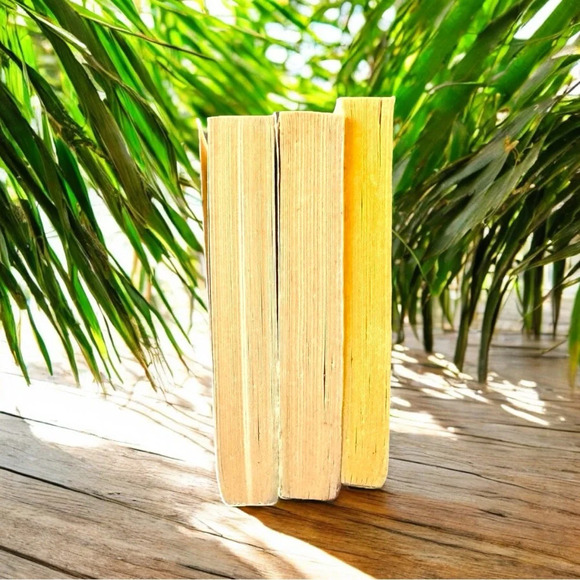 VINTAGE Little House on the Prairie - Set of 3 Paperbacks - Picture 15 of 16